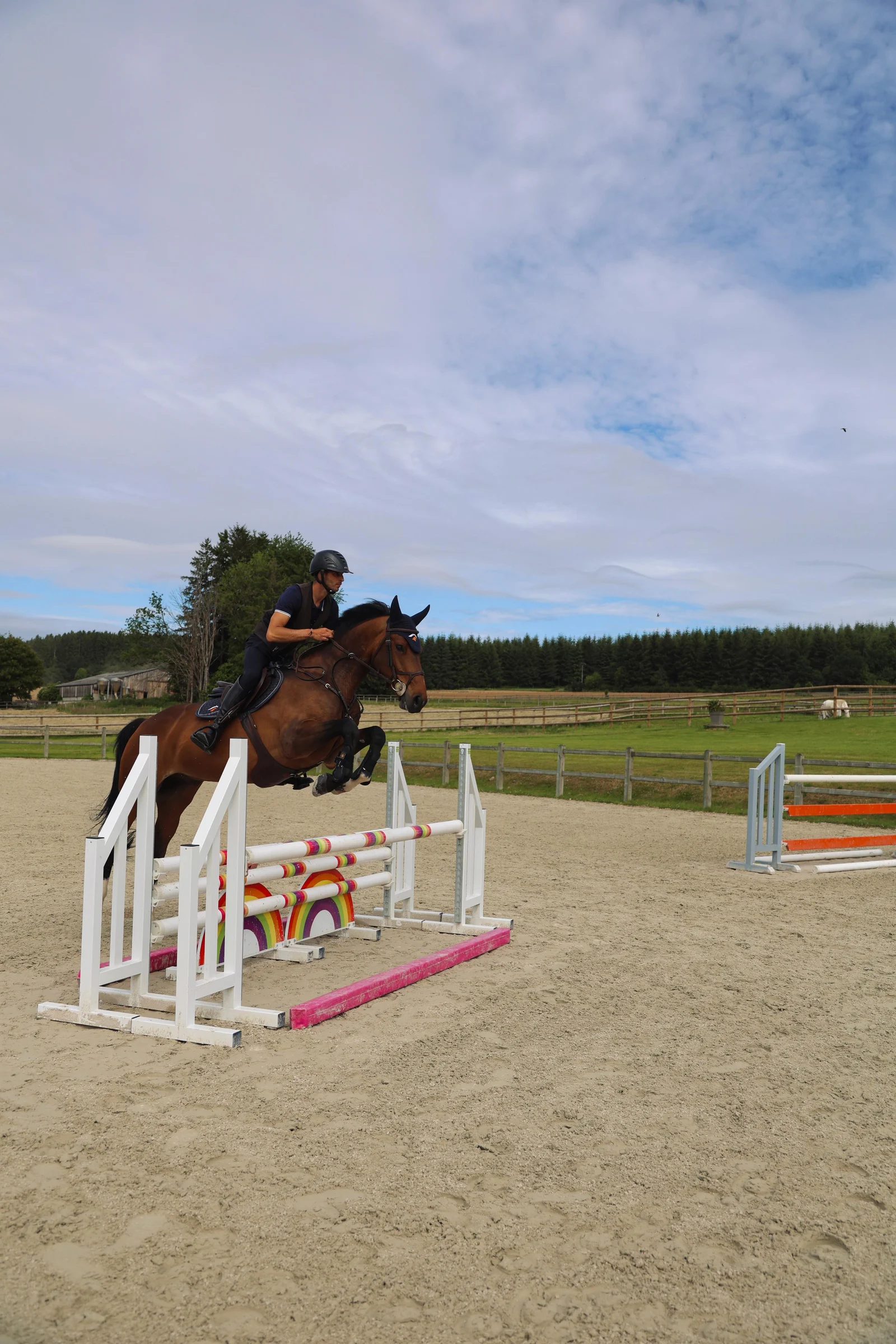 Horse and rider jumping an obstacle